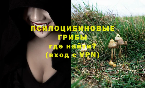 крисы Алзамай