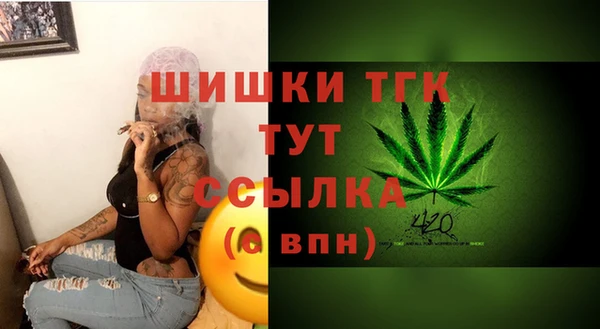 гидра Алексеевка