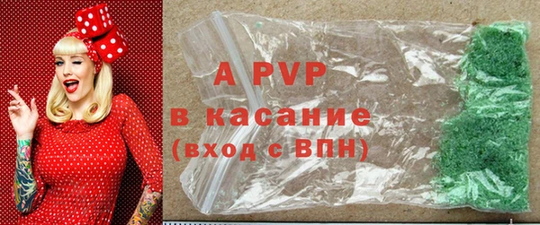 крисы Алзамай